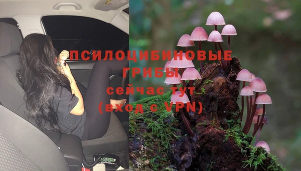 эйфоретик Бородино