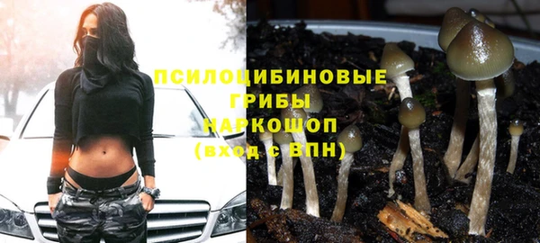 эйфоретик Бородино