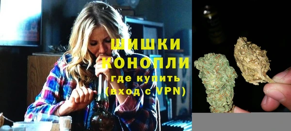 эйфоретик Бородино