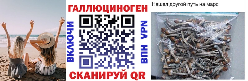 купить наркотик  Вуктыл  Псилоцибиновые грибы Magic Shrooms 